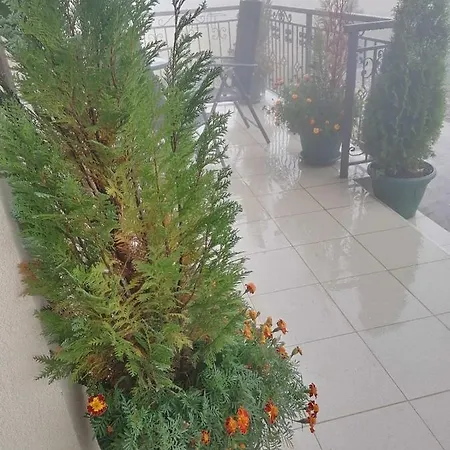 Apartment Tarsko Sunce Kaludjerske Bare